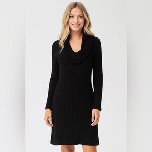 Michael Stars Sweater Dress